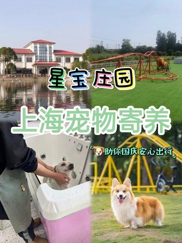 含宠量100%｜只要不倒闭一辈子寄养都在这！
