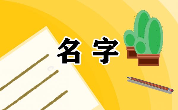2021宠物店有特色吸引人的名字