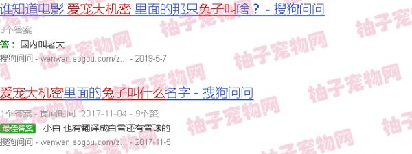 爱宠大机密兔子叫什么
