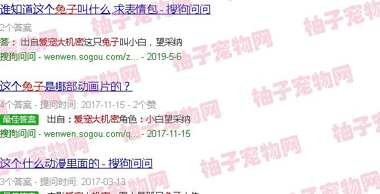 爱宠大机密兔子图片
