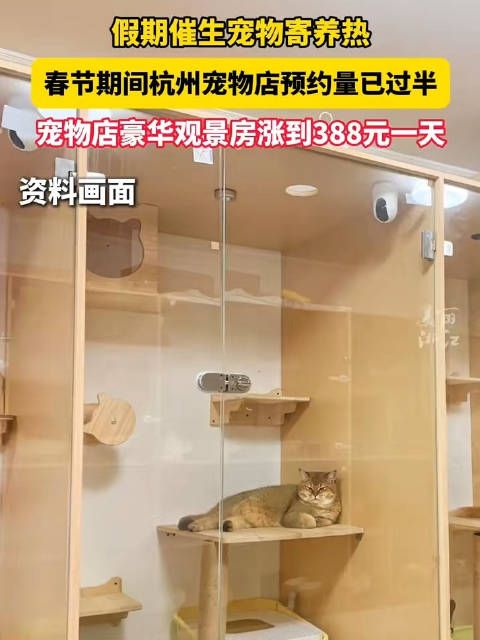 你要带宠物回家吗?杭州一宠物店春节豪华房涨到388元