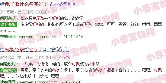宠物兔取什么名字好听可爱