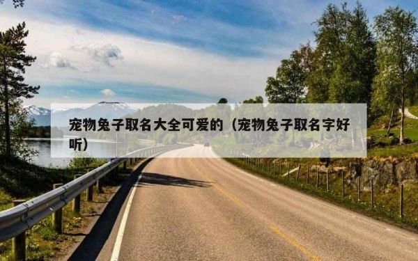 宠物兔子取名大全可爱的（宠物兔子取名字好听）