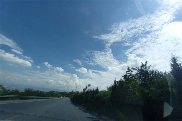 家猫放生 能活多久