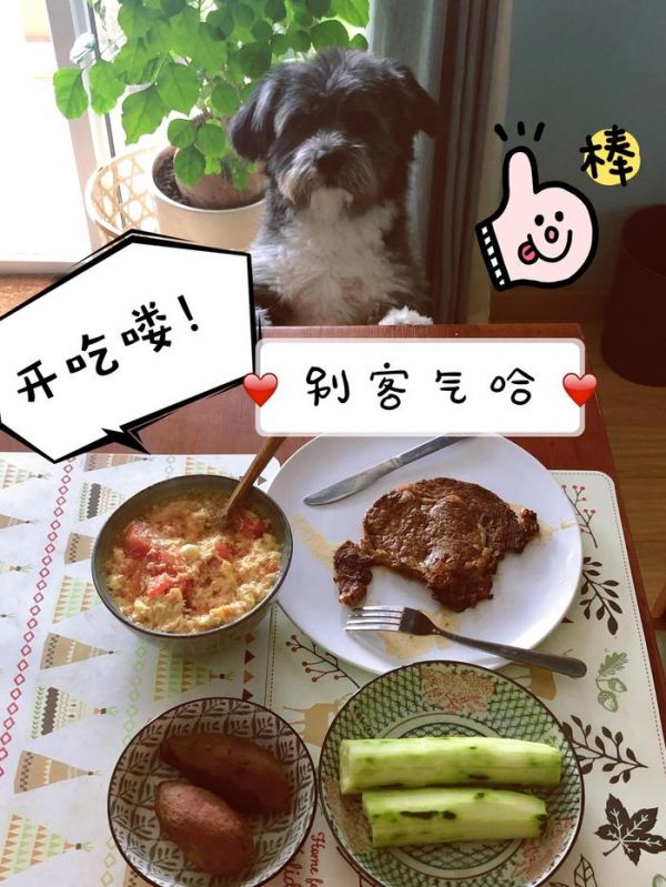 看了视频，城管暴打宠物狗的过程挺让人揪心……