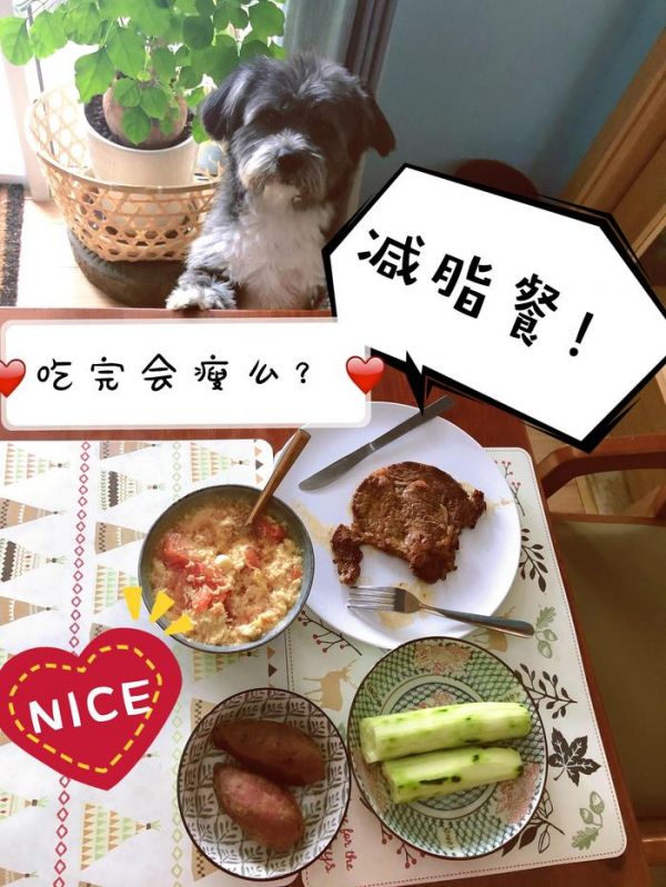 看了视频，城管暴打宠物狗的过程挺让人揪心……