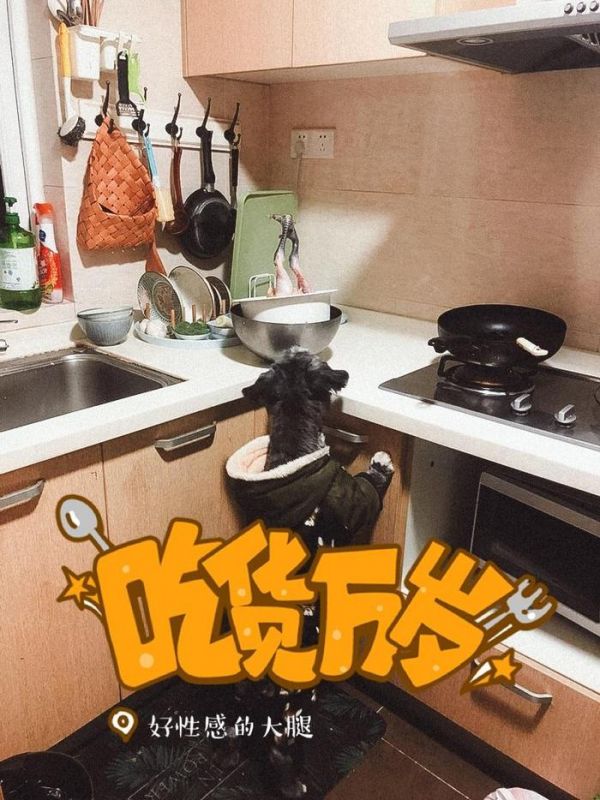 看了视频，城管暴打宠物狗的过程挺让人揪心……