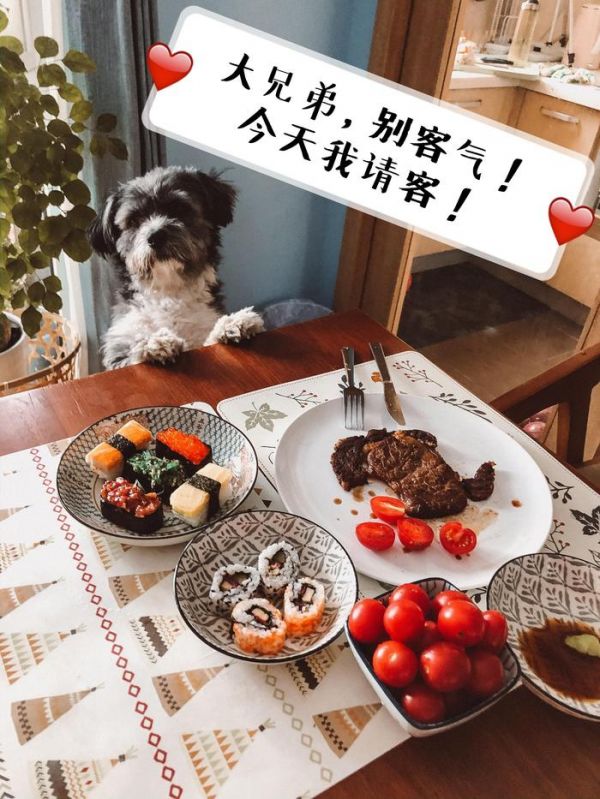 看了视频，城管暴打宠物狗的过程挺让人揪心……