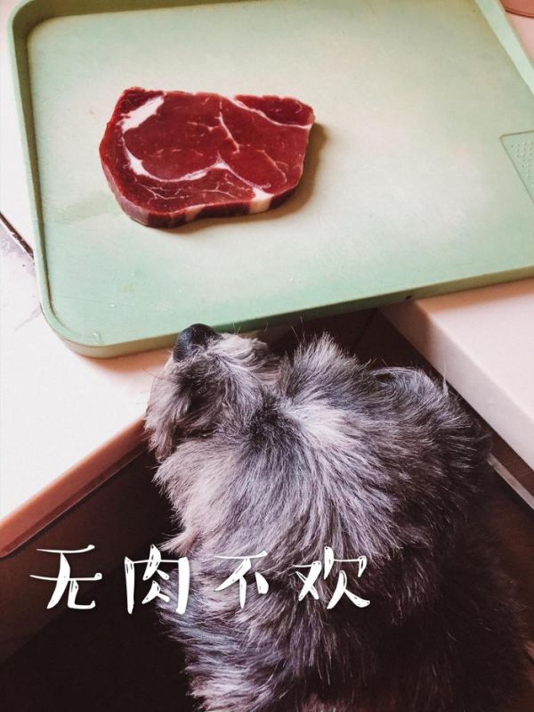 看了视频，城管暴打宠物狗的过程挺让人揪心……