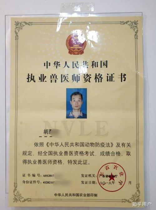 宠物医生需要的证,宠物医生需要证件吗