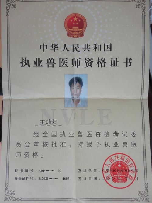 宠物医生需要的证,宠物医生需要证件吗