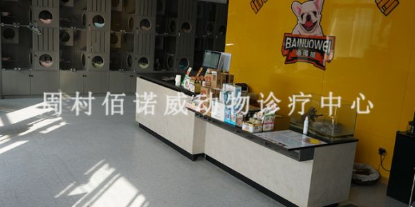 周村机场路附近的良心宠物医院剪毛,宠物医院