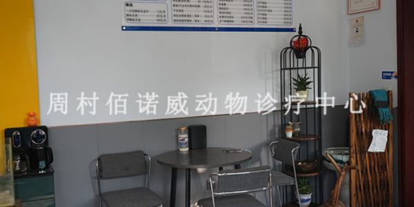 周村大公园附近的异宠宠物医院寄养,宠物医院