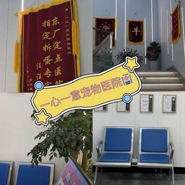 宠物绝育选这家❗一心一意宠物医院