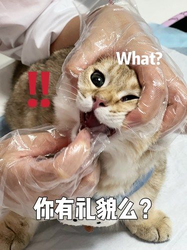 本以为身价暴涨结果没有
