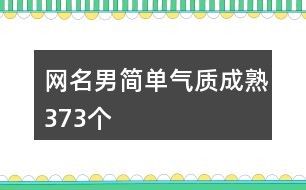 网名男简单气质成熟373个