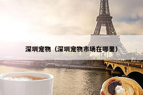 深圳宠物（深圳宠物市场在哪里）