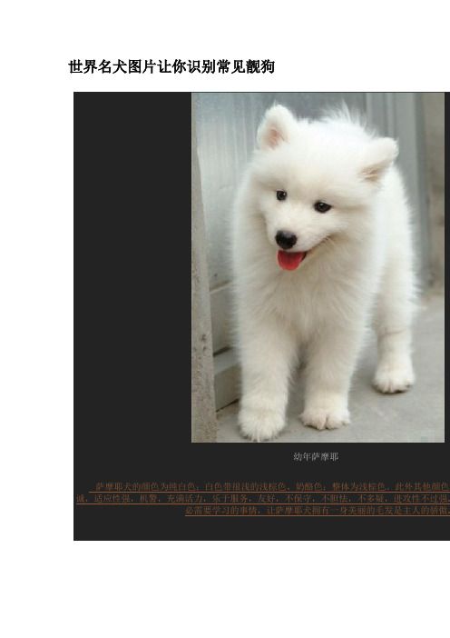 世界名犬