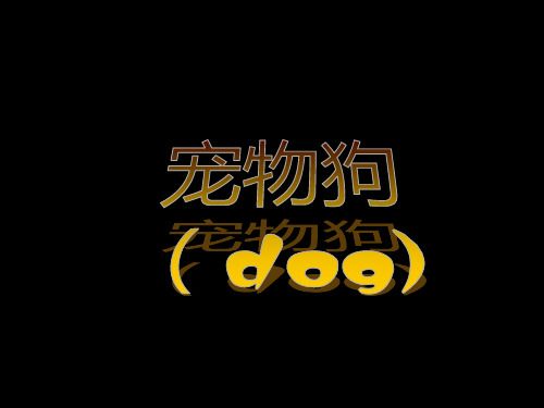 可爱狗狗图片