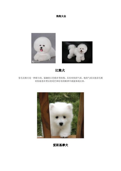 狗狗大全