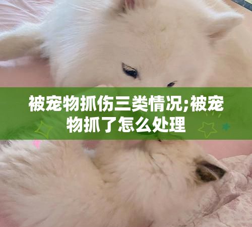 被宠物抓伤三类情况;被宠物抓了怎么处理