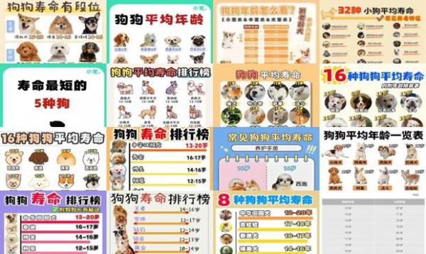狗的寿命排行榜