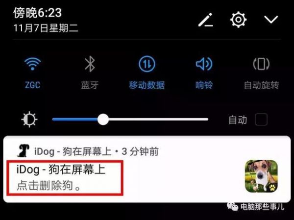 微信宠物你见过吗？我在里面养了一只小狗！