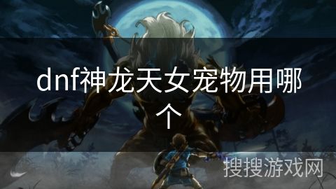 dnf神龙天女宠物用哪个