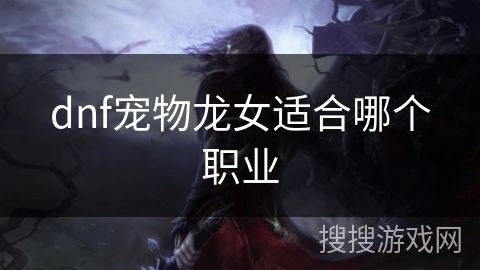 dnf宠物龙女适合哪个职业