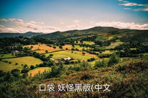  口袋 妖怪黑版(中文