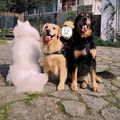 https://p1.meituan.net/userheadpicbackend/54e8b4714031123b73dba7b8f483a988358947.jpg%40120w_120h_1e_1c_1l%7Cwatermark%3D0