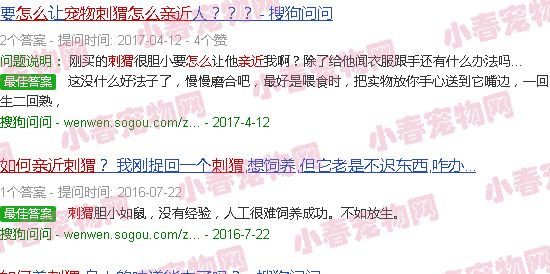宠物刺猬怎么亲近得快