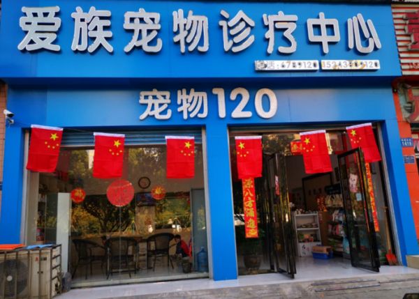 娄底宠物医院?娄底宠物医院哪家好!