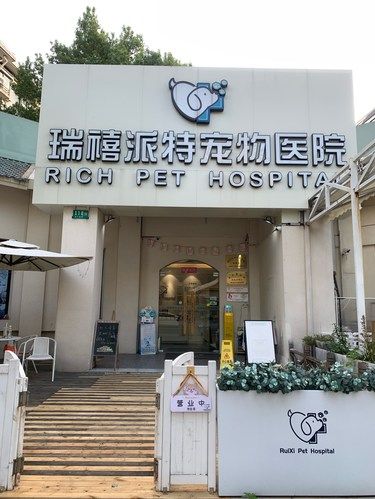 又挖掘到一家属于萌宠的宝藏栖息地