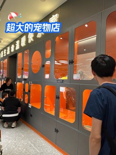 打卡一家超大的宠物店