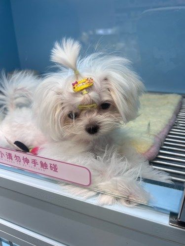 怎么办，好想带你回家