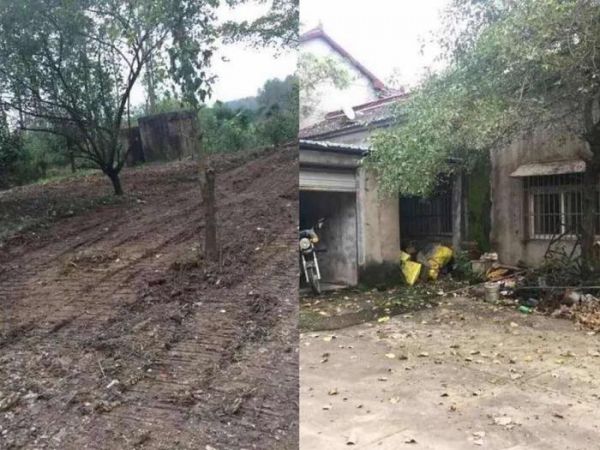 被射瞎了眼睛它都没敢叫，相比于失去眼睛，它更怕丢命……
