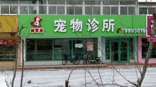 铁岭宠物医院?铁岭宠物医院哪家最好!