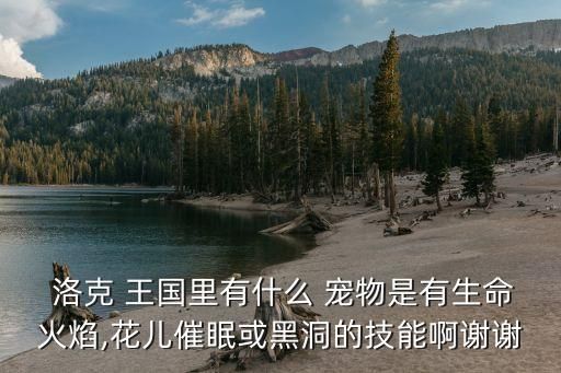  洛克 王国里有什么 宠物是有生命火焰,花儿催眠或黑洞的技能啊谢谢