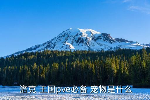  洛克 王国pve必备 宠物是什么