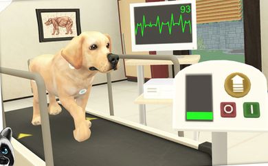 宠物世界我的宠物医院(animal hospital)