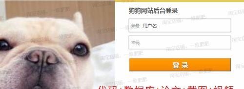 让宠物小狗顺利拉屎的有效方法（掌握正确的喂养习惯）