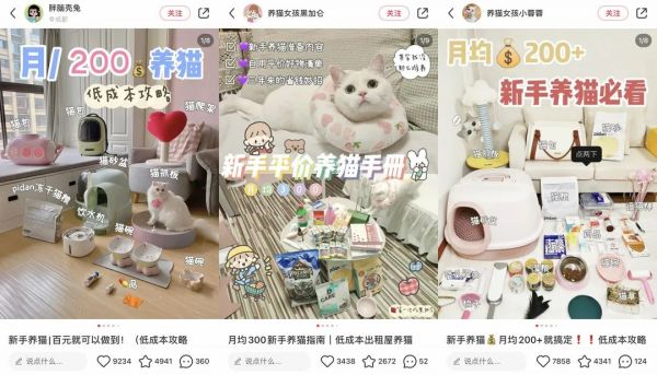 6年做到品类第一！高热宠物用品赛道来看pidan怎么做小红书投放布局？