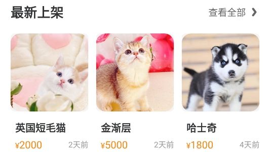 买只宠物app安卓版