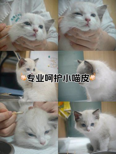 医术超赞 医心更美~