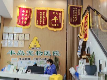 养猫养狗的人类真有趣