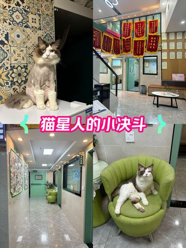屁崽的看病日记～
