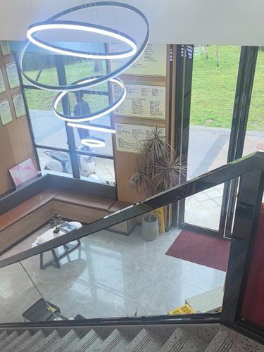半岛宠物医院一家专业的医院！
