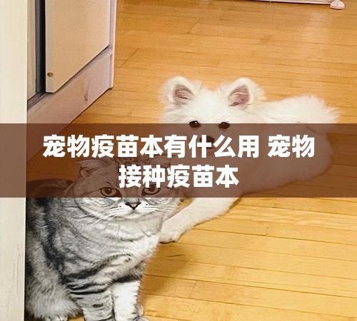 宠物疫苗本有什么用 宠物接种疫苗本