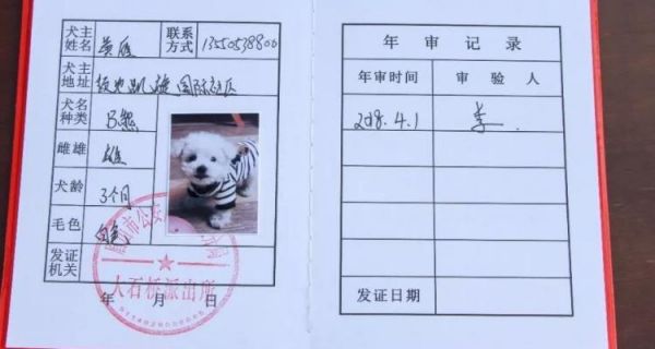 小狗的免疫证怎么办